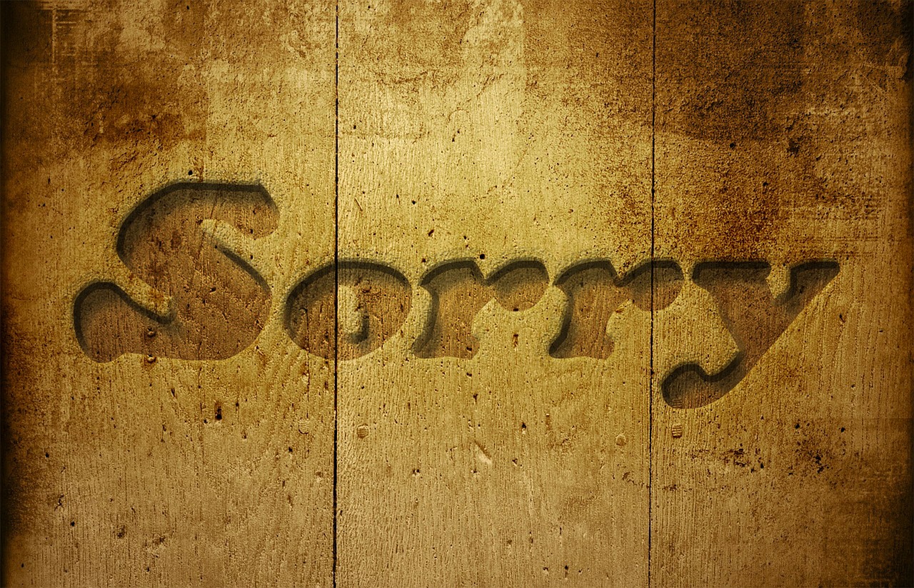 sorry-229978_1280